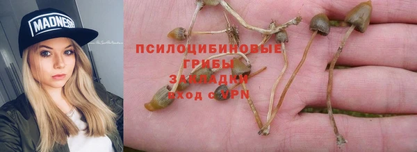 мяу мяу мука Алексин