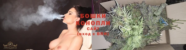 дурь Алзамай
