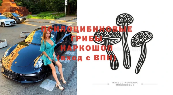 мяу мяу мука Алексин