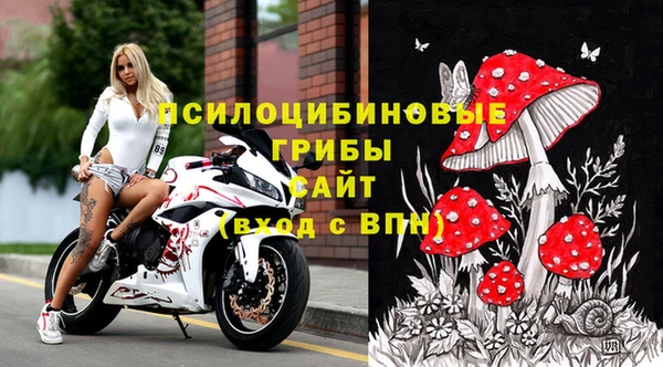 мяу мяу мука Алексин