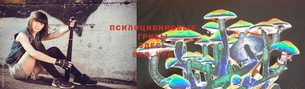 дурь Алзамай